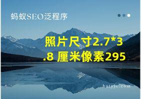 照片尺寸2.7*3.8 厘米像素295