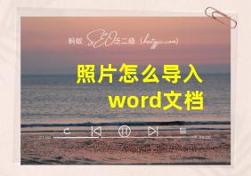 照片怎么导入word文档