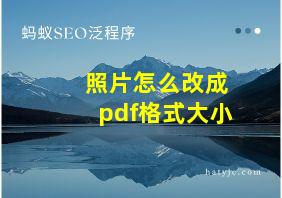 照片怎么改成pdf格式大小