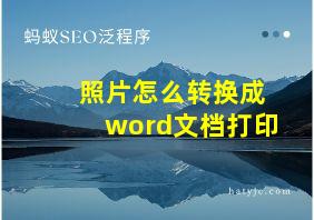 照片怎么转换成word文档打印