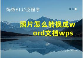 照片怎么转换成word文档wps