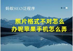 照片格式不对怎么办呢苹果手机怎么弄