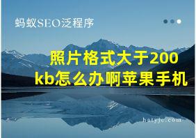 照片格式大于200kb怎么办啊苹果手机