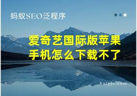 爱奇艺国际版苹果手机怎么下载不了