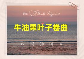 牛油果叶子卷曲