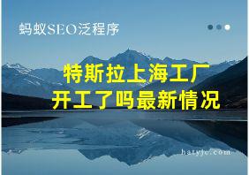 特斯拉上海工厂开工了吗最新情况