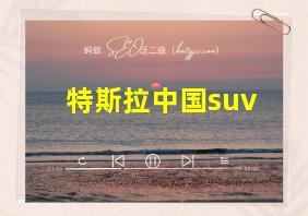 特斯拉中国suv