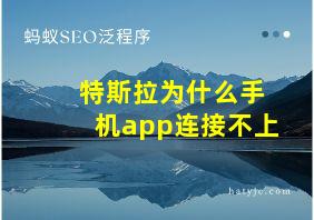 特斯拉为什么手机app连接不上