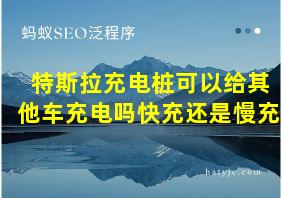 特斯拉充电桩可以给其他车充电吗快充还是慢充