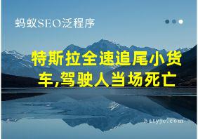 特斯拉全速追尾小货车,驾驶人当场死亡