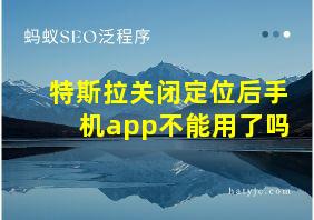 特斯拉关闭定位后手机app不能用了吗