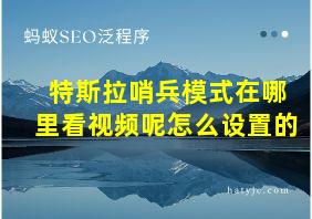 特斯拉哨兵模式在哪里看视频呢怎么设置的