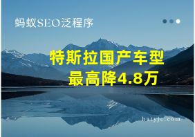 特斯拉国产车型最高降4.8万