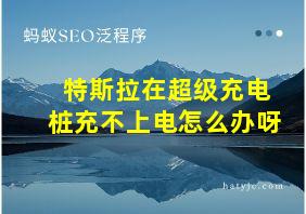 特斯拉在超级充电桩充不上电怎么办呀