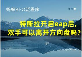 特斯拉开启eap后,双手可以离开方向盘吗?