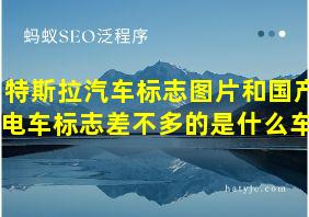 特斯拉汽车标志图片和国产电车标志差不多的是什么车?