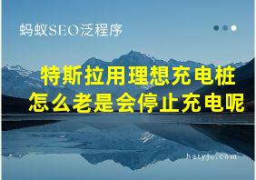 特斯拉用理想充电桩怎么老是会停止充电呢