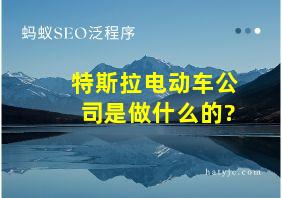 特斯拉电动车公司是做什么的?