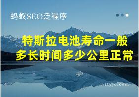 特斯拉电池寿命一般多长时间多少公里正常