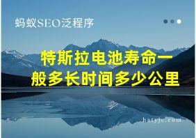 特斯拉电池寿命一般多长时间多少公里