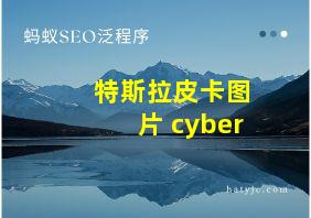 特斯拉皮卡图片 cyber