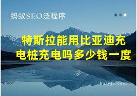 特斯拉能用比亚迪充电桩充电吗多少钱一度