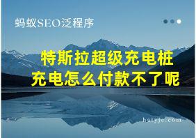 特斯拉超级充电桩充电怎么付款不了呢