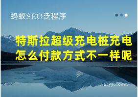 特斯拉超级充电桩充电怎么付款方式不一样呢