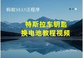 特斯拉车钥匙换电池教程视频