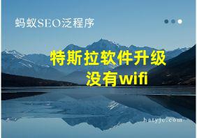 特斯拉软件升级 没有wifi