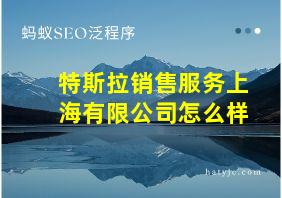 特斯拉销售服务上海有限公司怎么样