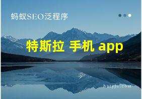 特斯拉 手机 app