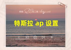 特斯拉 ap 设置