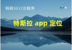 特斯拉 app 定位