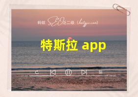 特斯拉 app