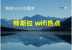 特斯拉 wifi热点