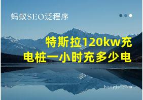 特斯拉120kw充电桩一小时充多少电