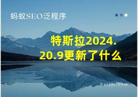 特斯拉2024.20.9更新了什么