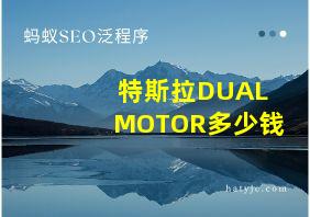 特斯拉DUALMOTOR多少钱