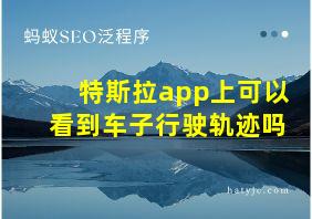 特斯拉app上可以看到车子行驶轨迹吗