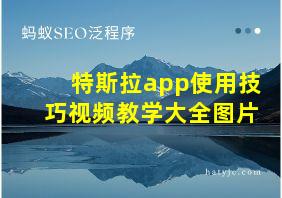 特斯拉app使用技巧视频教学大全图片