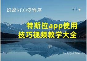 特斯拉app使用技巧视频教学大全