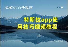 特斯拉app使用技巧视频教程