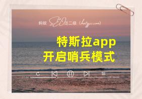 特斯拉app开启哨兵模式