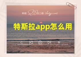 特斯拉app怎么用