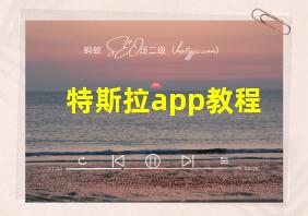 特斯拉app教程