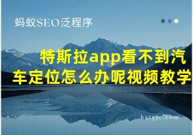 特斯拉app看不到汽车定位怎么办呢视频教学