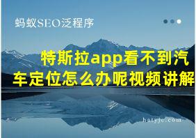 特斯拉app看不到汽车定位怎么办呢视频讲解