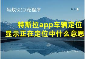 特斯拉app车辆定位显示正在定位中什么意思