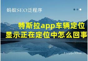 特斯拉app车辆定位显示正在定位中怎么回事